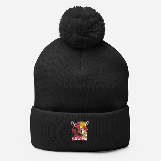 Pom-Pom Beanie