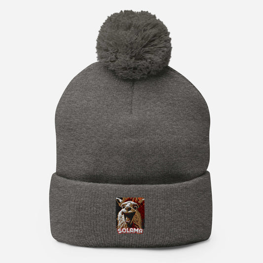 Pom-Pom Beanie