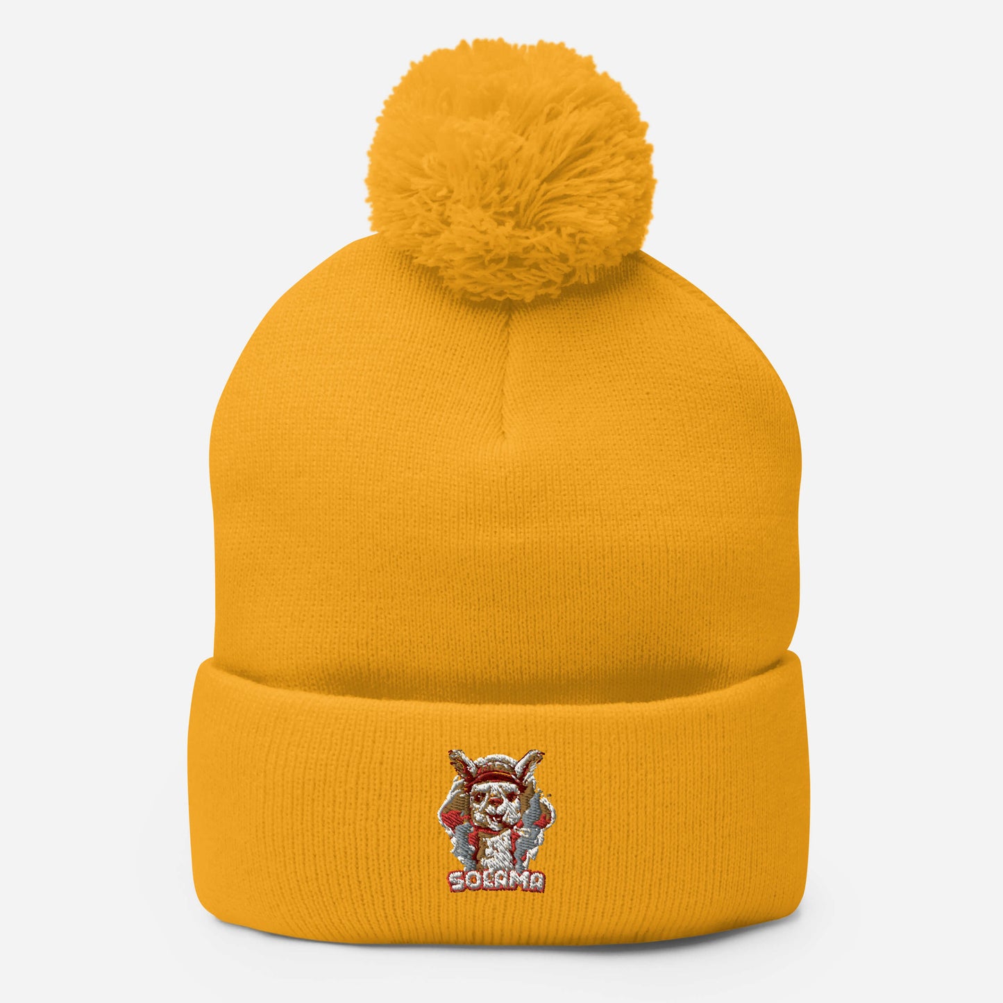 Pom-Pom Beanie