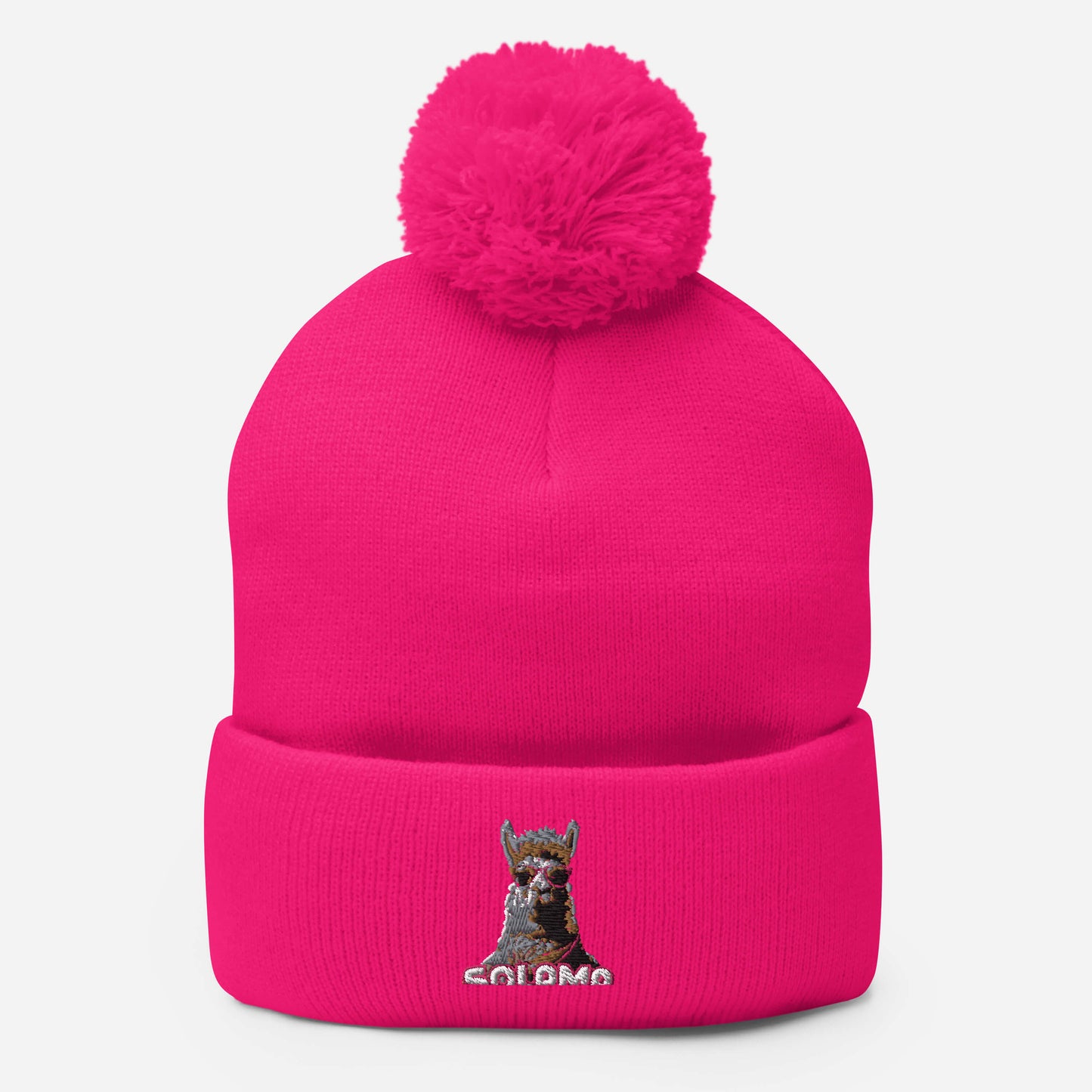 Pom-Pom Beanie